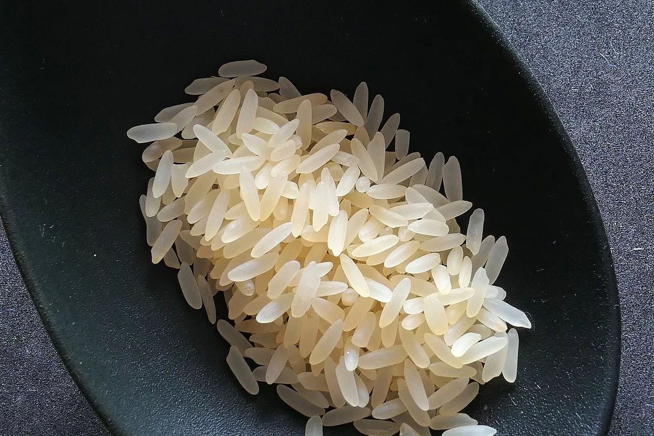 फोर्टीफाइड चावल के फायदे