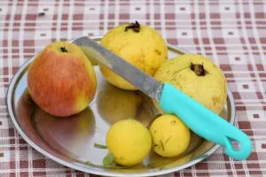 व्रत रखना हमारे सेहत के लिए नुकसानदेह है या फायदेमंद जानिए इसके बारे में