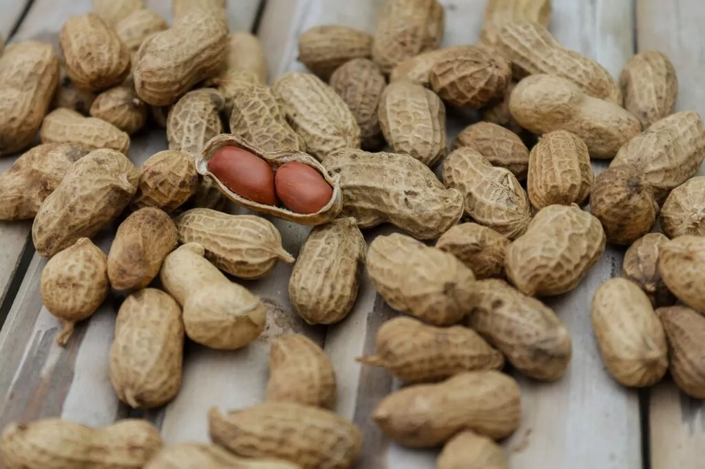 Benefits of eating peanuts in winter in Hindi