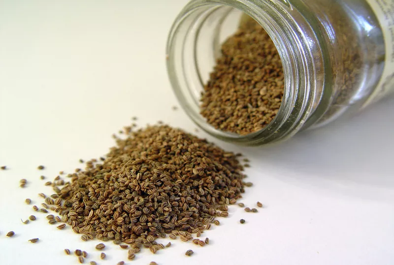 Ajwain benefits in Hindi