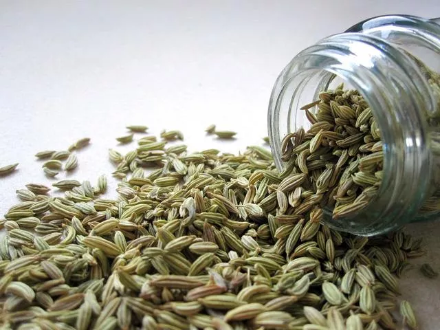 Benefits of fennel in Hindi